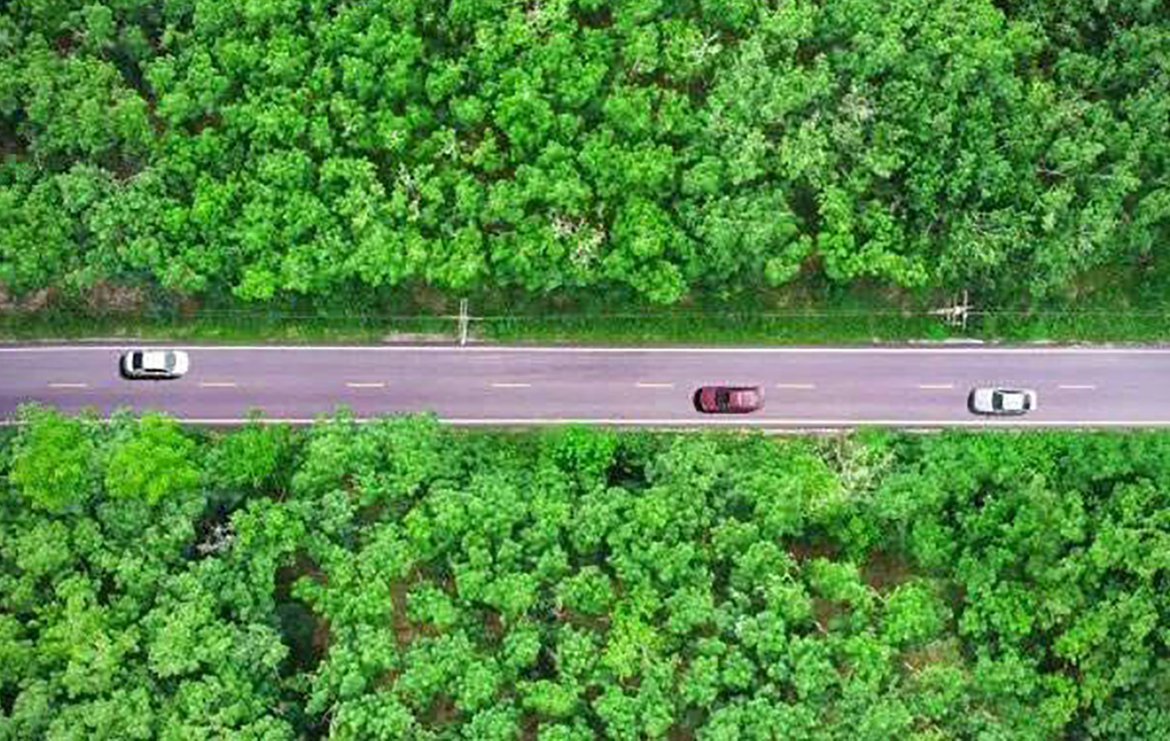 春風有信，花開有期 - 給汽配代理商一些建議